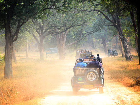 Golden Triangle with Ranthambore Safari