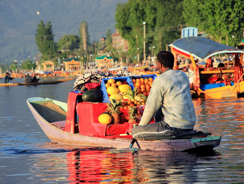 Golden Triangle with Kashmir Paradise