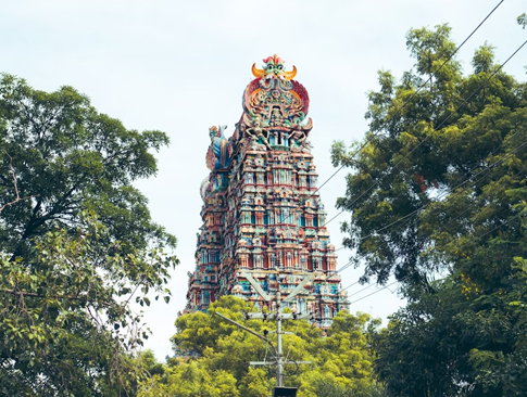 Tamil Nadu Temples & Culture Tour