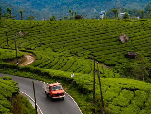 Kerala Backwaters & Hill Stations