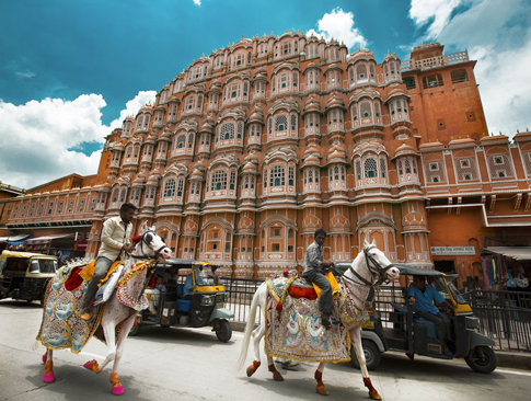 Luxury Palaces & Wildlife Tour