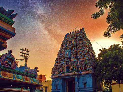 South India in Style: Culture & Wellness