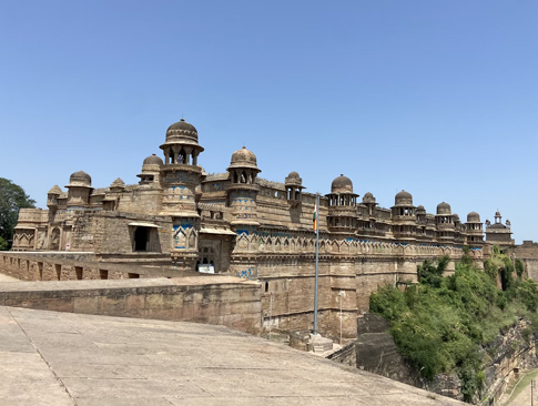 Madhya Pradesh Forts & Wildlife