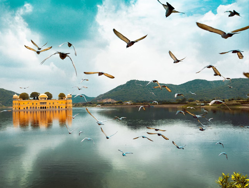 Rajasthan with Delhi & Agra