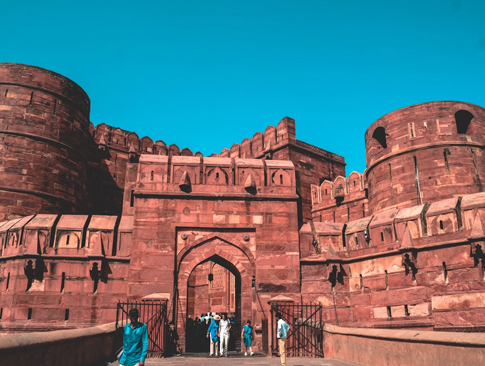 Wildlife & Royal Rajasthan