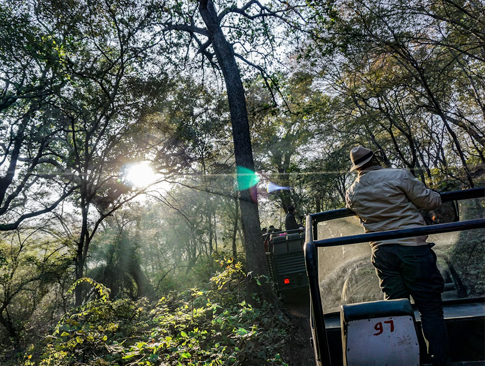 Luxury Palaces & Wildlife Tour
